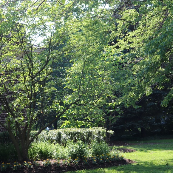 libbythequill - Picture 1 of 1